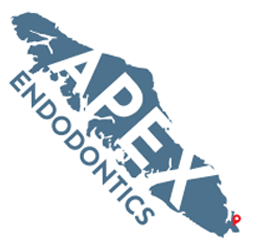 Apex Endodontics